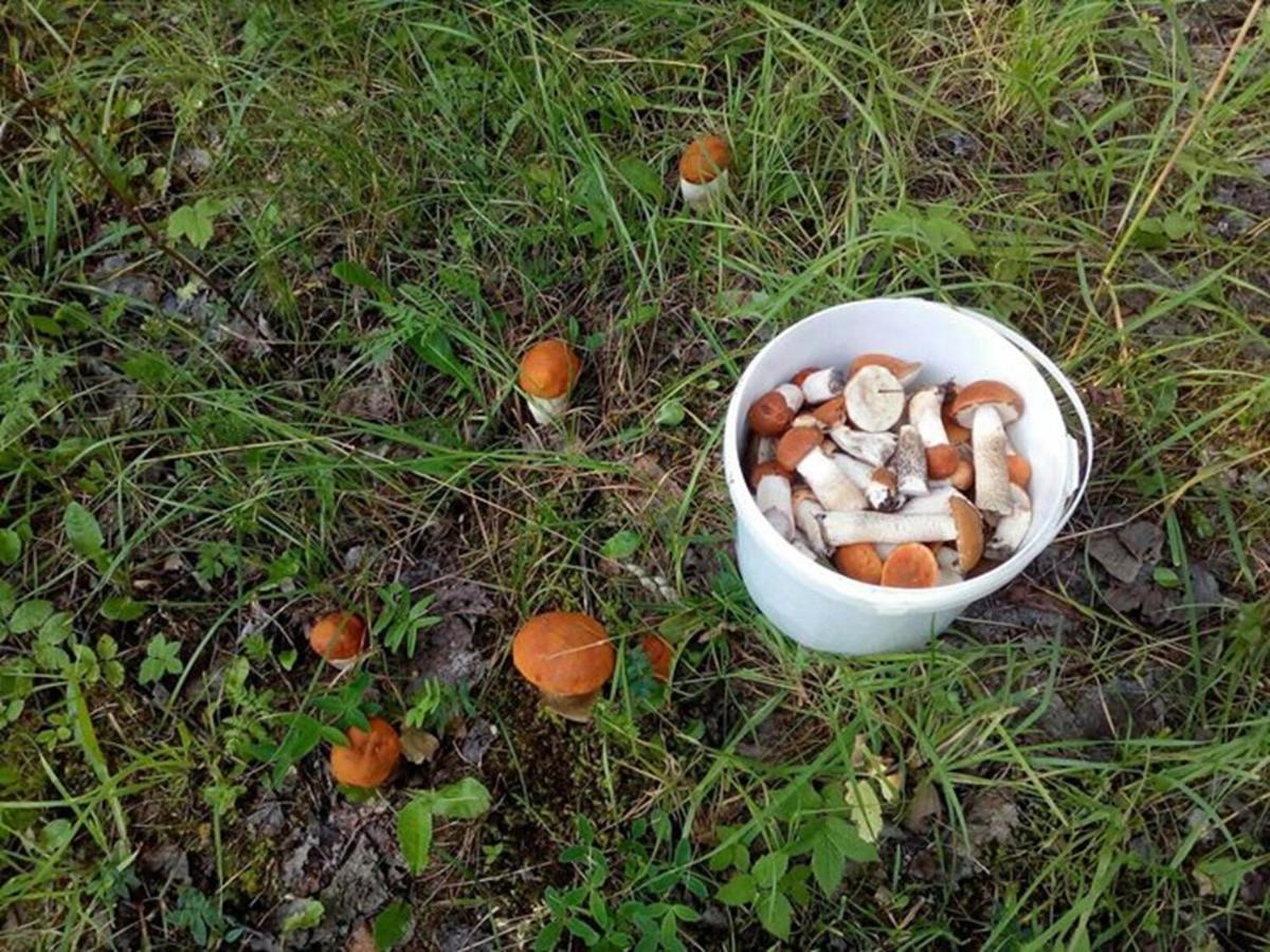Agroturystyka A&G Dubeninki Exteriér fotografie